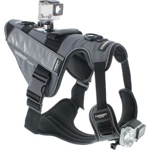 Canihunt pas za pse TACTICAL