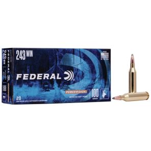 Strelivo Federal Power Shok 243 Winchester 6,50g / 100gr SP