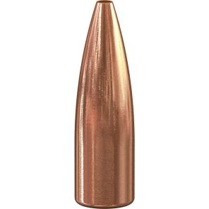 Zrna Speer 6mm (243) 4,53g / 70gr TNT HP