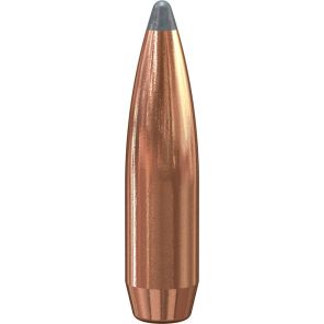 Zrna Speer 6mm (243) 6,48g / 100gr BT SP