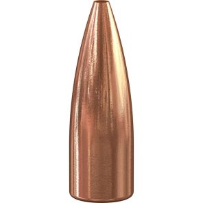 Proiettili Speer 270 (277) 5,83g / 90gr TNT HP
