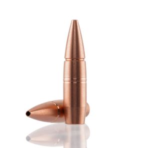 Zrna CEB 30 (308) 10,70g / 165gr Maximus HP